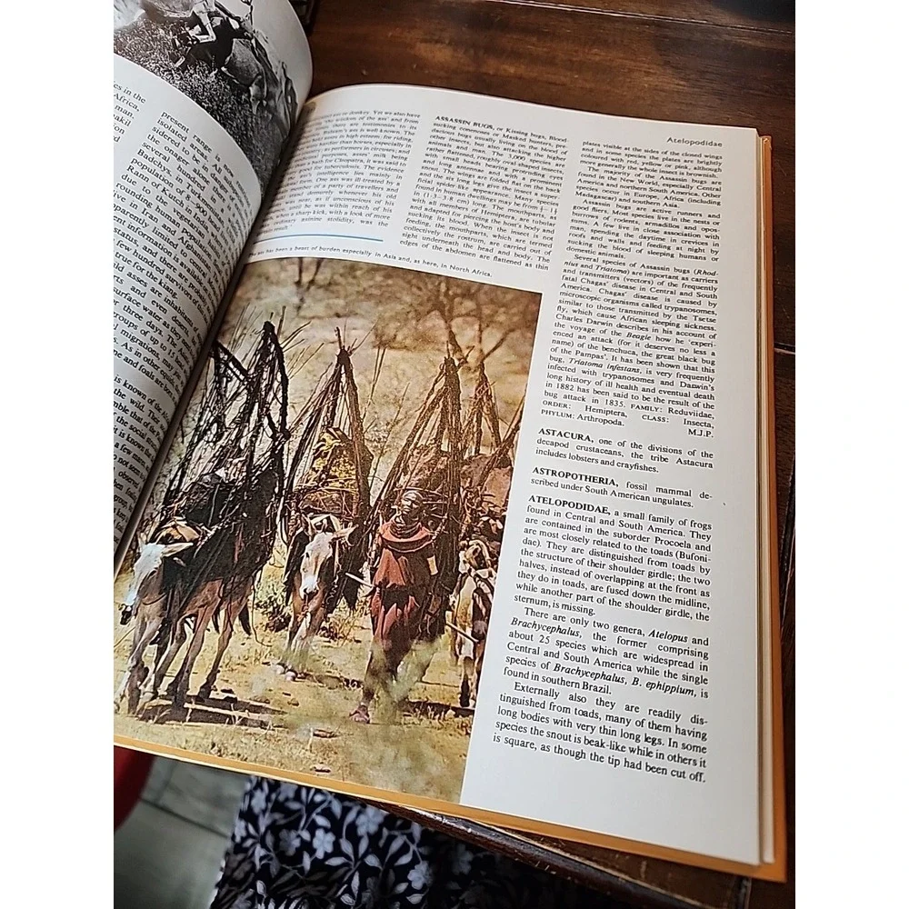 Encyclopedia of the Animal World Vol 2 Vintage 1972 Biological Art Aquarium Fish